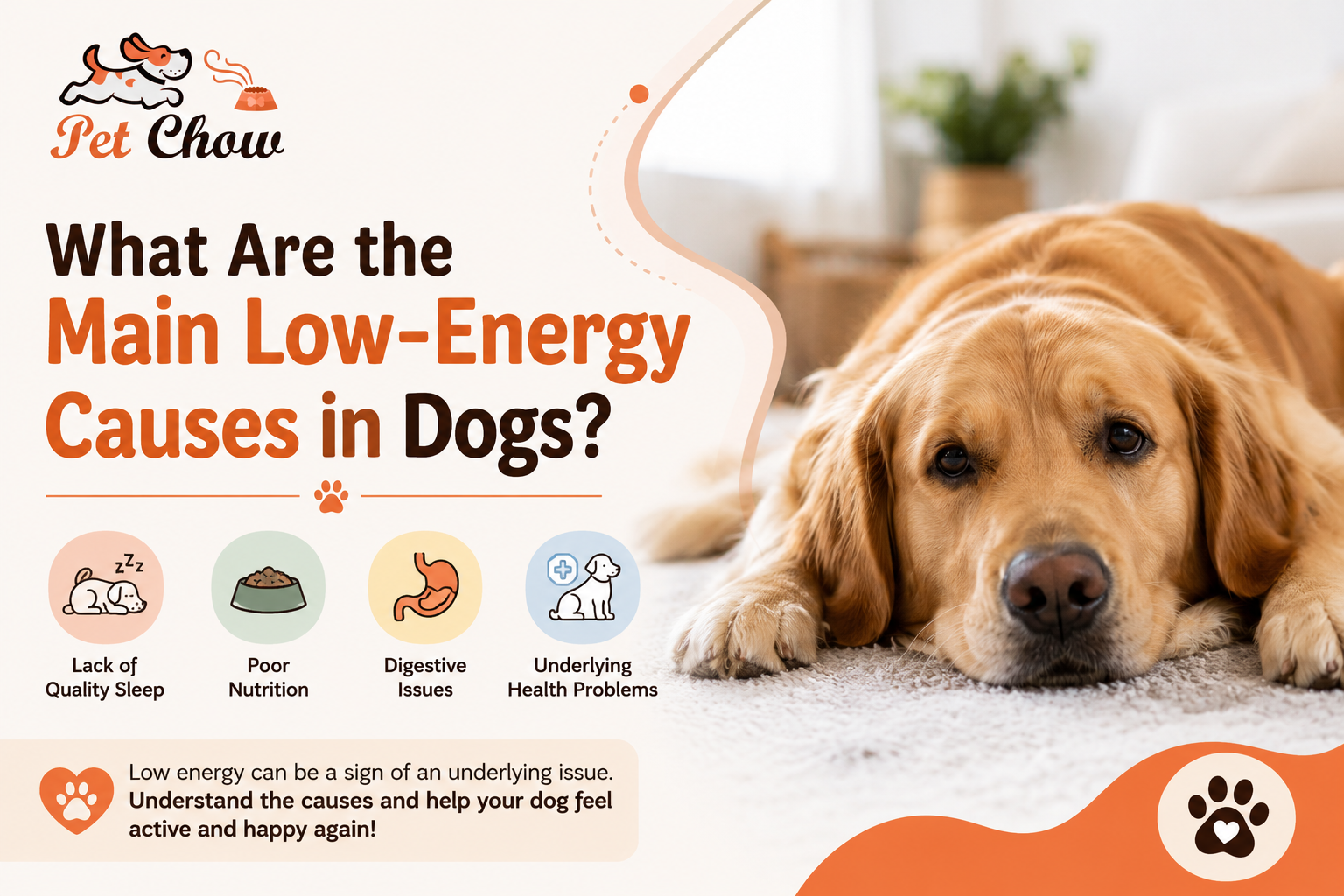 Low-Energy Causes in Dogs