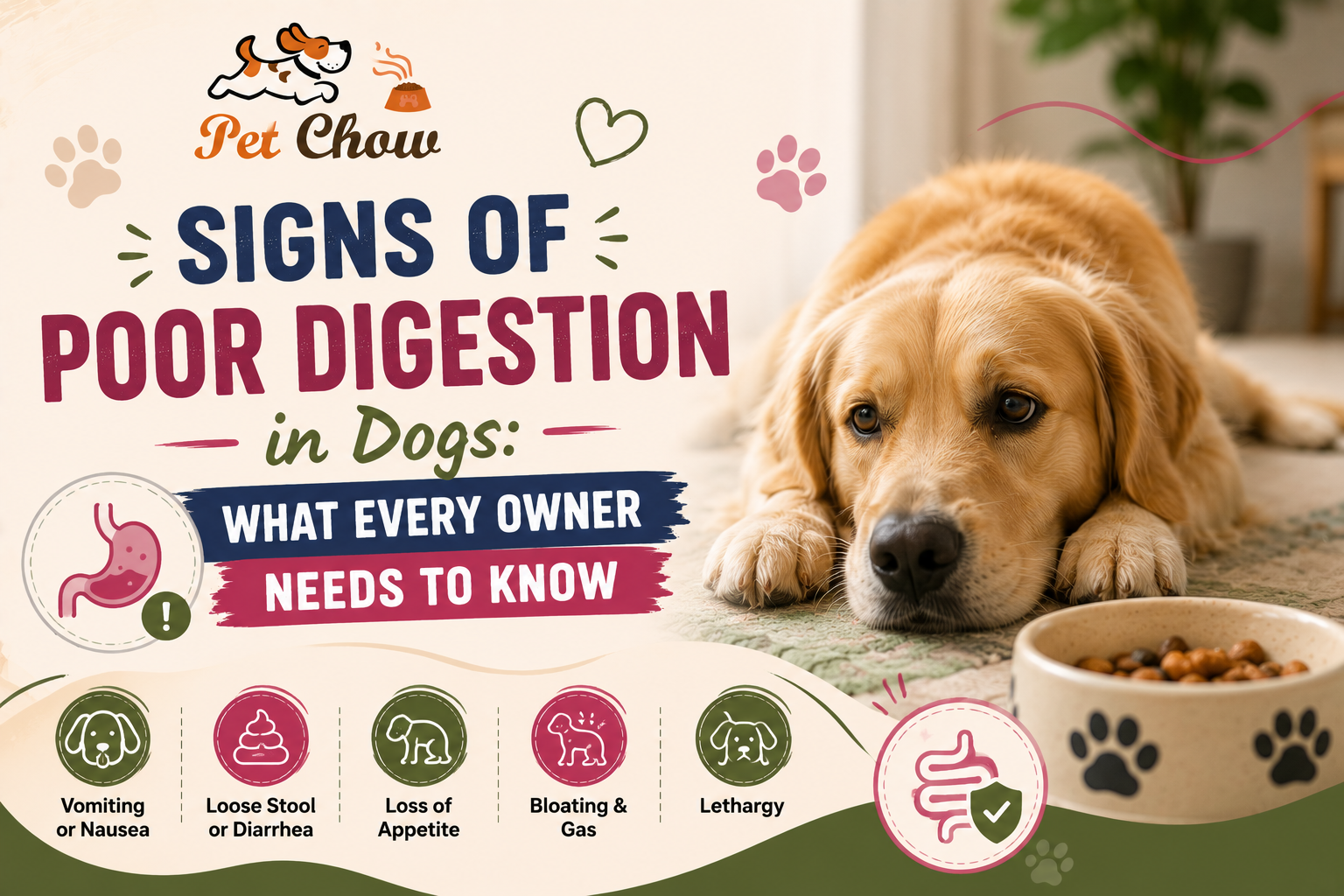 Signs of Poor Digestion in Dogs: What Every Owner Needs to Know