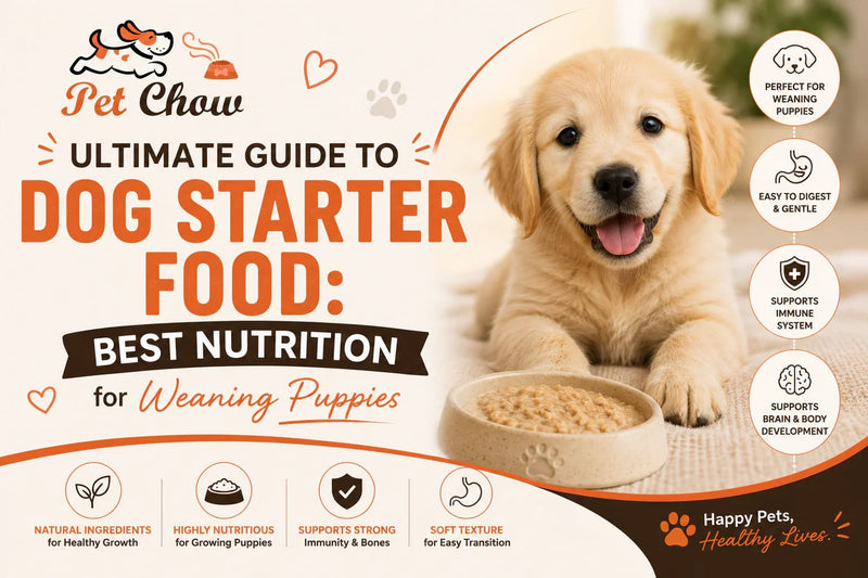 Dog Starter Food