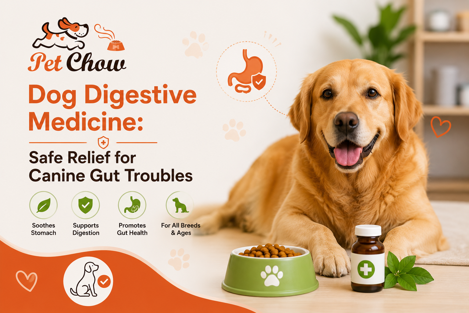 Dog Digestive Medicine: Safe Relief for Canine Gut Troubles