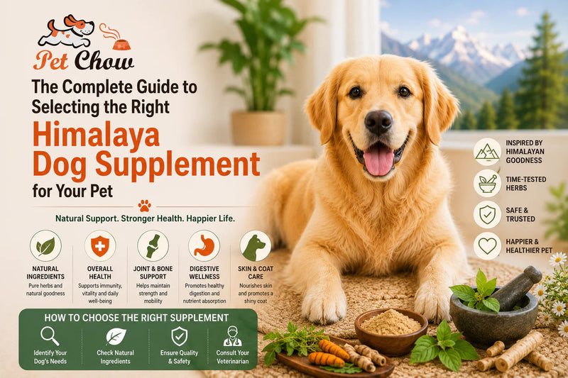  Himalaya Dog Supplement for Your Pet